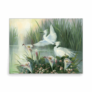 Whispering Wings at Dawn